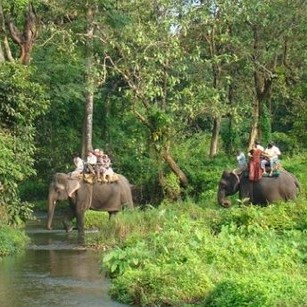 Elephant Ride