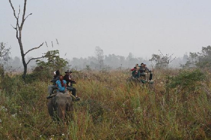 Hollong Elephant Safari