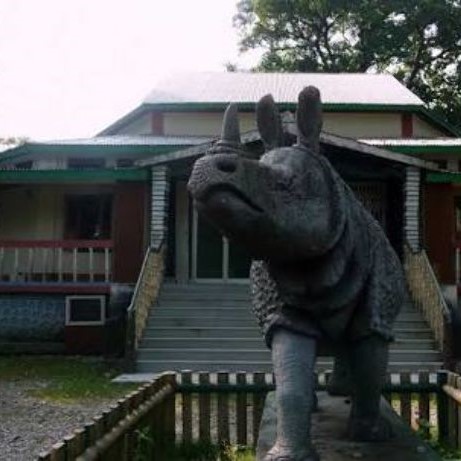 Jaldapara Museum