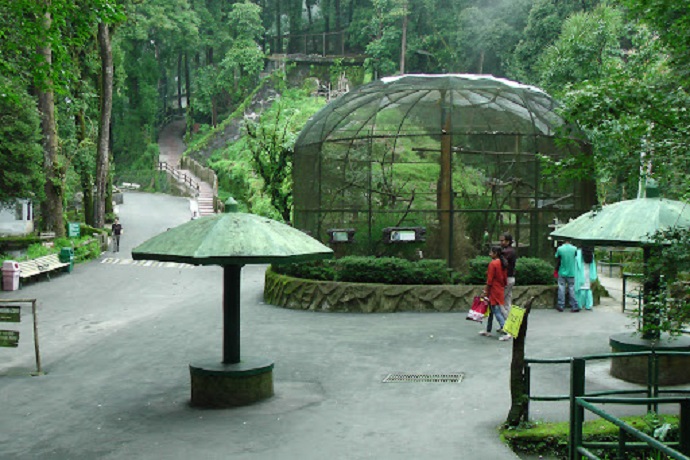 Padmaja Naidu Himalayan Zoological Park