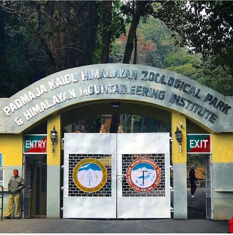 Padmaja Naidu Himalayan Zoological Park