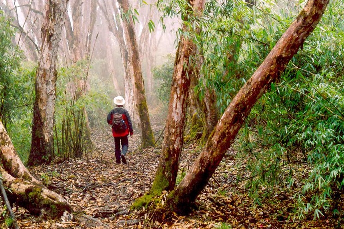 Neora Valley National Park