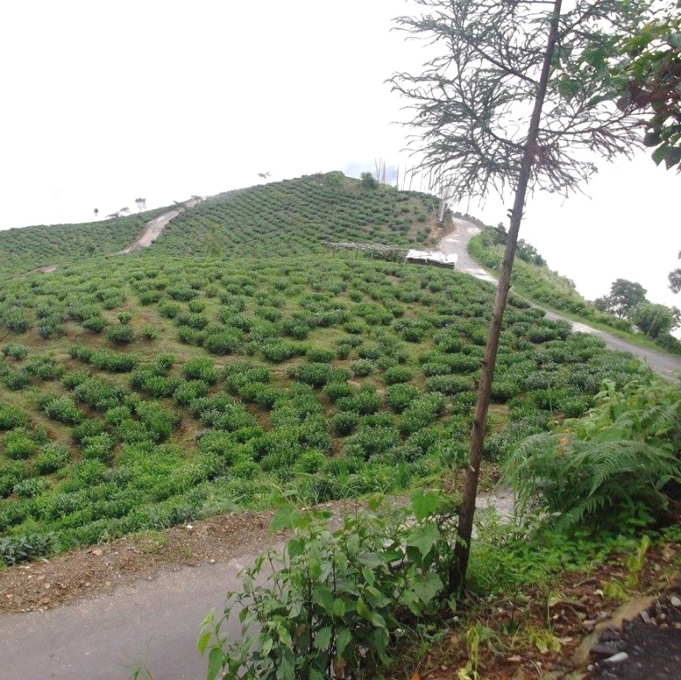 Gumbadara Viewpoint