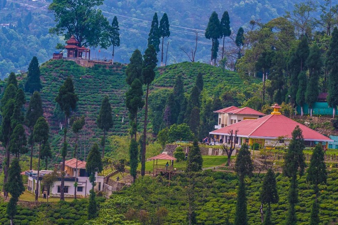 Chamong Tea Garden