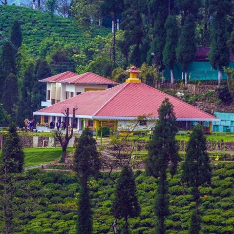 Chamong Tea Garden