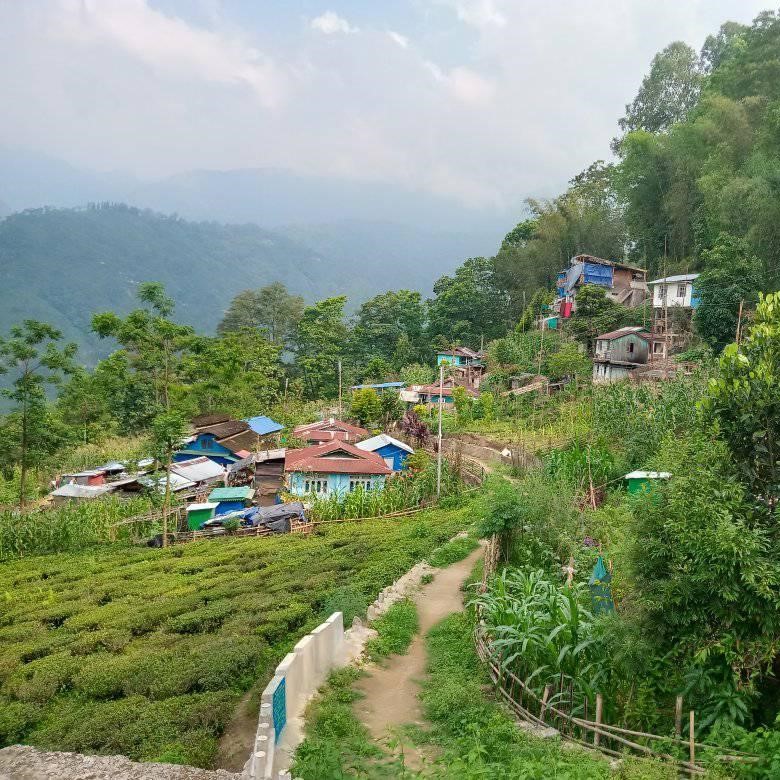 Chongtong Tea Estate